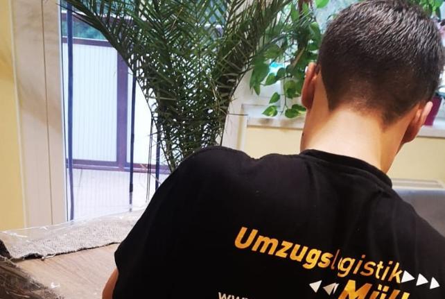 Preise für Ihren Studentenumzug in Seelitz